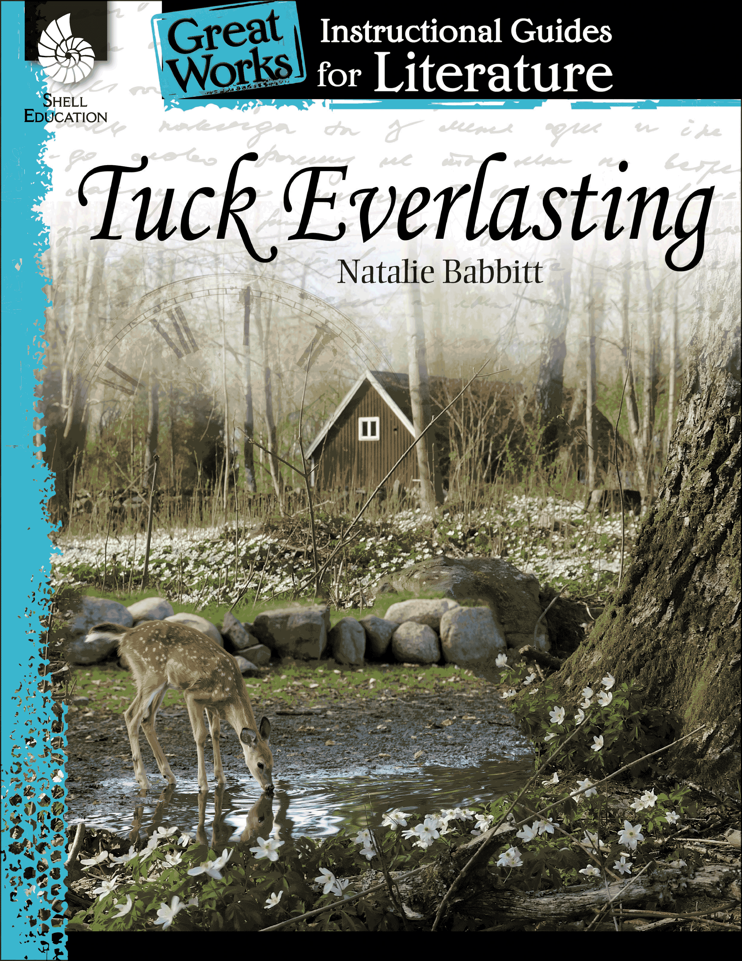 tuck everlasting theme essay