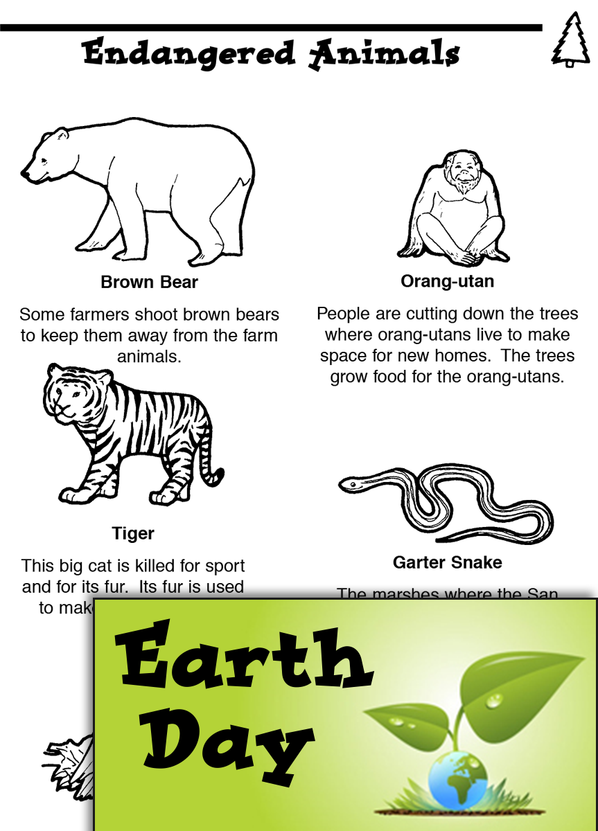 Earth Day Activities: Endangered Animals | Teachers - Classroom Resources