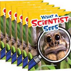 What a Scientist Sees Guided Reading 6-Pack