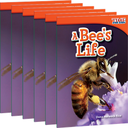A Bee's Life Guided Reading 6-Pack