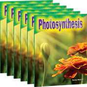 Photosynthesis Guided Reading 6-Pack