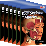 Look Inside: Your Skeleton and Muscles Guided Reading 6-Pack
