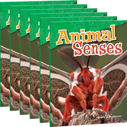 Animal Senses Guided Reading 6-Pack