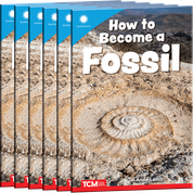 How to Become a Fossil 6-Pack