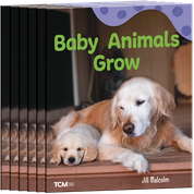 Baby Animals Grow 6-Pack