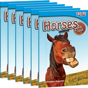 Horses Up Close Guided Reading 6-Pack