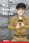 No Small Mess ebook