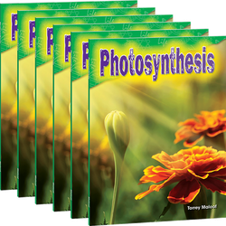 Photosynthesis Guided Reading 6-Pack