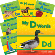 My First Consonants and Vowels 21-Book Set