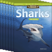 Amazing Animals: Sharks: Skip Counting Guided Reading 6-Pack