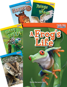 Museum Tour Time for Kids Animals Bundle