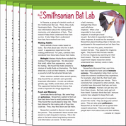 All About the Smithsonian Bat Lab 6-Pack