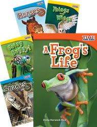 Museum Tour Time for Kids Animals Bundle