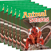 Animal Senses Guided Reading 6-Pack