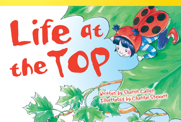 Life at the Top ebook