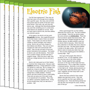 Electric Fish 6-Pack